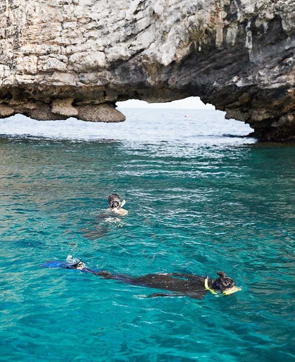 One day Snorkeling Trip