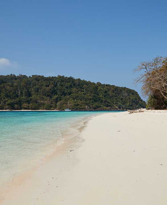 One day Snorkeling Trip